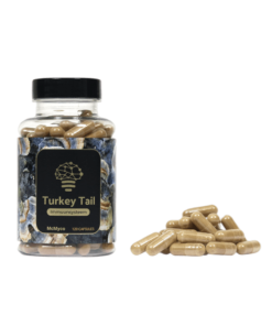 McMyco - Turkey Tail Extract Capsules